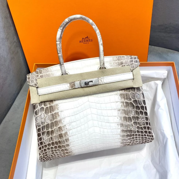 HB 30 Bag Diamond Himalaya Blanc Matte Niloticus Crocodile