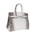 HB 30 Bag Diamond Himalaya Blanc Matte Niloticus Crocodile